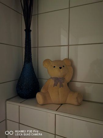 P30p lowlight bear.jpg