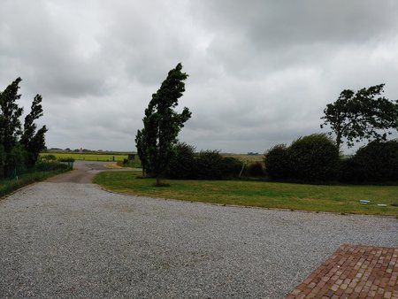 20190704_153804.jpg