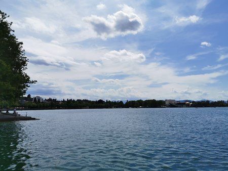 IMG_20190707_143934.jpg