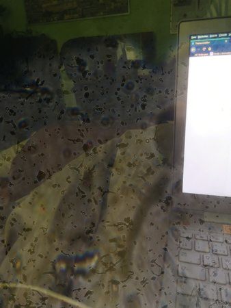 IMG_20190710_194552.jpg
