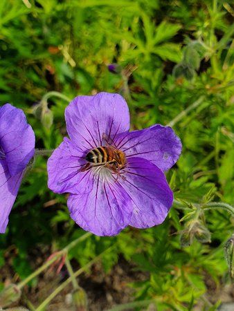 20190609_174750.jpg