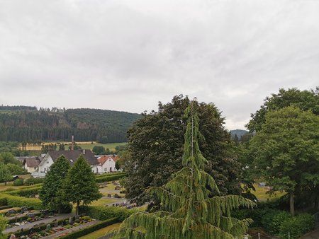 IMG_20190711_102852.jpg