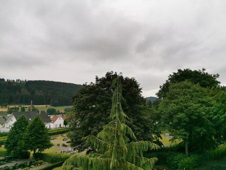 IMG_20190711_103011.jpg