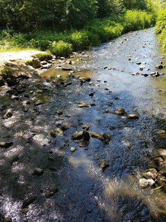 20190704_154243.jpg