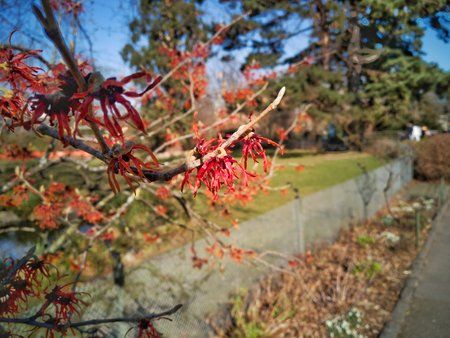 IMG_20190226_122001-01.jpeg