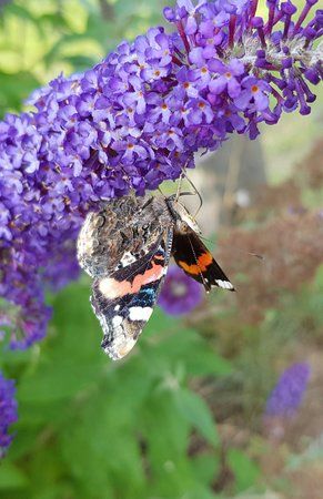 20190712_154043_1.jpg
