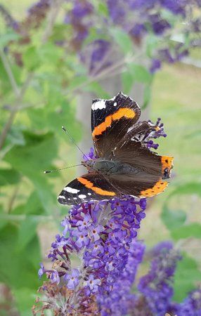 20190712_154142_1.jpg