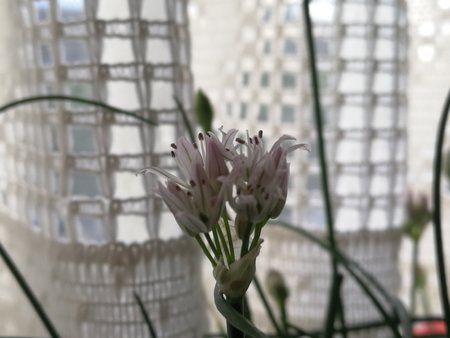 IMG_20190713_195341.jpg