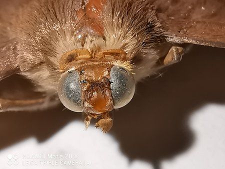 IMG_20190710_193610.jpg