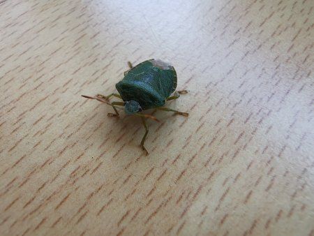 IMG_20190710_164728.jpg