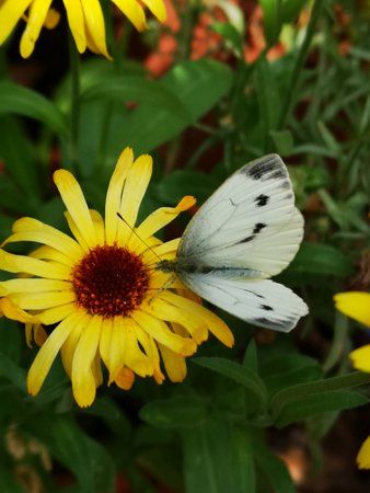 IMG_20190717_105026.jpg