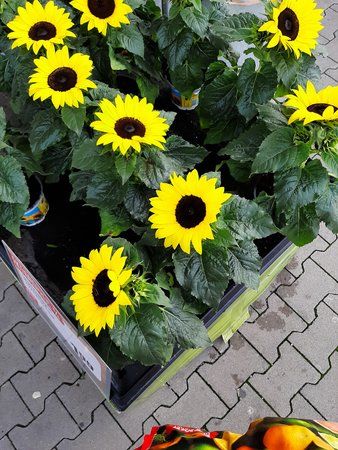 20190719_184355.jpg