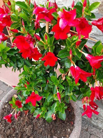 20190719_184630.jpg