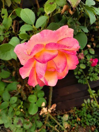 20190719_184609.jpg
