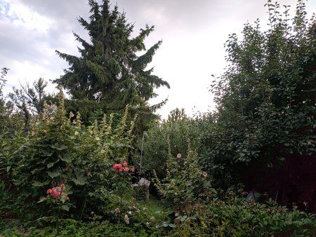 IMG_20190719_193112.jpg