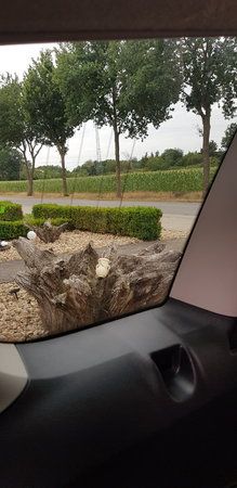 20190720_121748.jpg