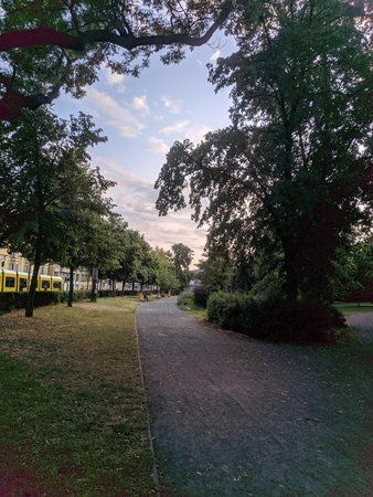 Park Foto.jpg