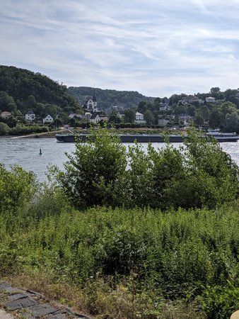 IMG_20190720_093238.jpg