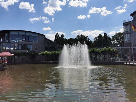 IMG_20190617_155021.jpg