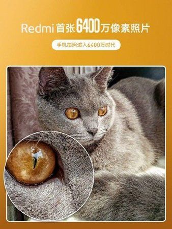 redmi2.jpg