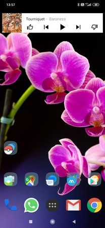 Screenshot_2019-07-23-13-57-03-016_com.teslacoilsw.launcher.jpg