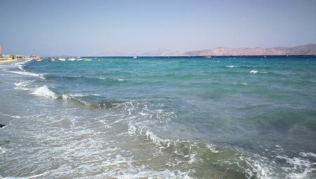 IMG_20190724_092109.jpg
