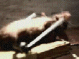 oie_323959ZkAqZ20C.gif