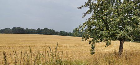 IMG_20190728_104738.jpg