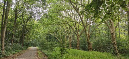 IMG_20190728_110001.jpg