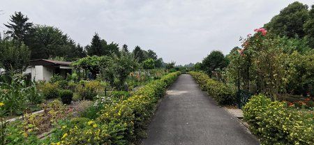 IMG_20190728_122548.jpg