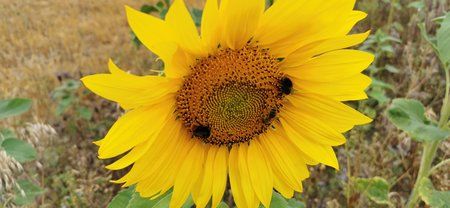 IMG_20190728_140436.jpg