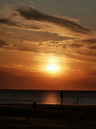 IMG_20190726_211041.jpg