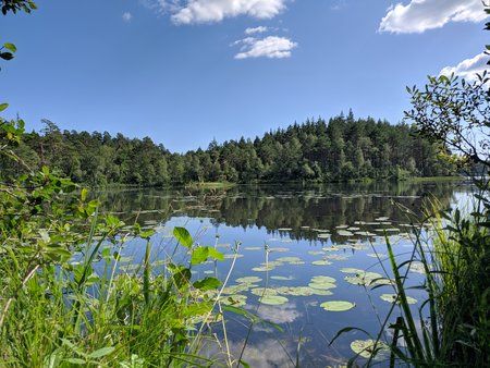 IMG_20190725_150858.jpg