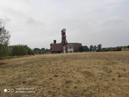 IMG_20190727_190745.jpg