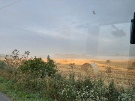 20190731_063525.jpg