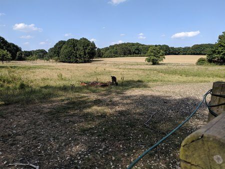 IMG_20190730_171407.jpg