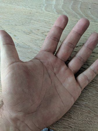 IMG_20190801_172102.jpg