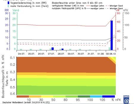 regen020819.JPG