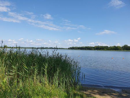 20190803_144650.jpg