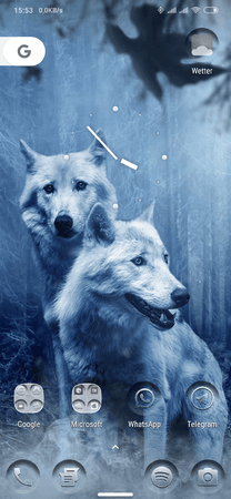 Screenshot_2019-08-04-15-53-54-569_com.teslacoilsw.launcher.png