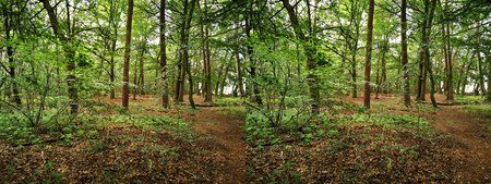 IMG_20190805_095715-3D-VR.JPG