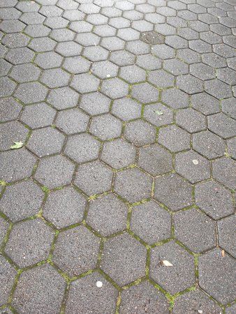 IMG_20190808_151645.jpg