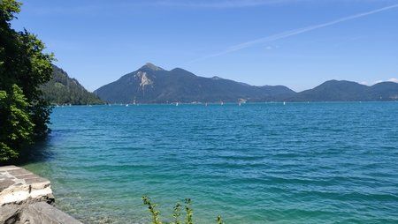 IMG_20190723_153835.jpg
