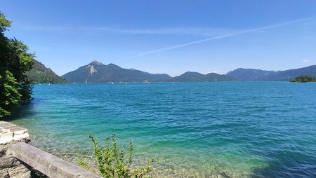 IMG_20190723_153829.jpg