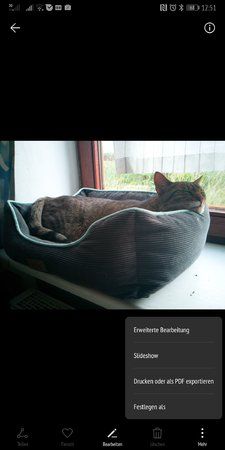 Screenshot_20190809_125141_com.android.gallery3d.jpg