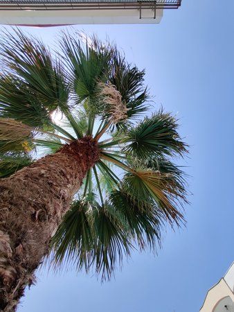 IMG_20190729_133821.jpg