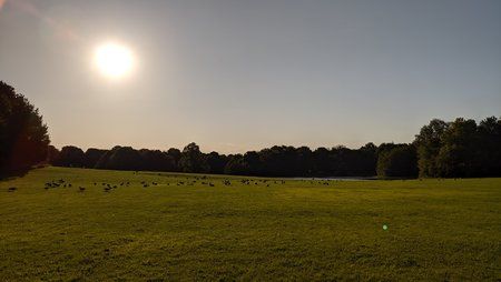 IMG_20190811_185156.jpg