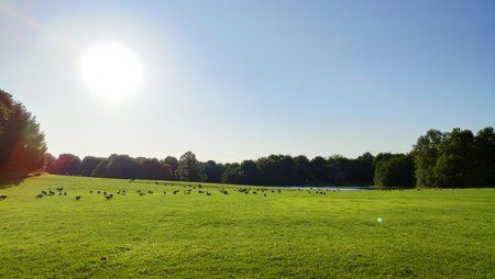 IMG_20190811_185205.jpg