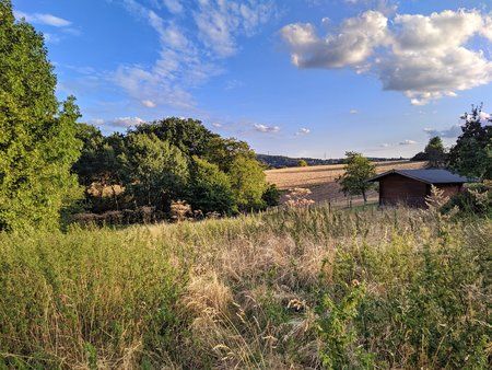 IMG_20190811_195029-01.jpeg