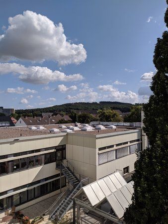 IMG_20190812_105404.jpg